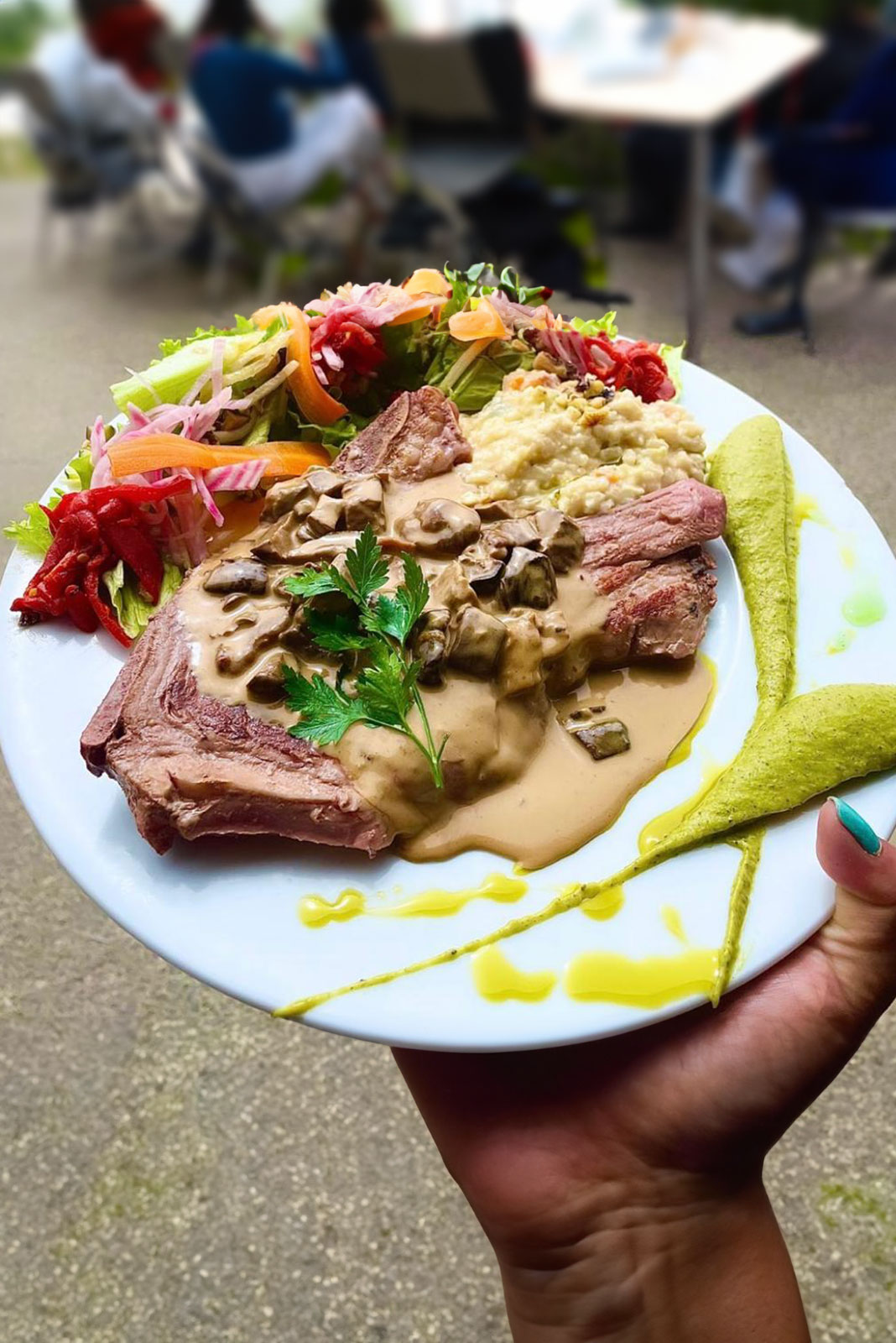 Veau Gascon ou croisé Black Angus